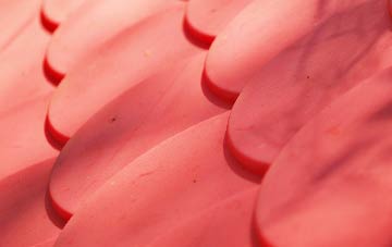 Upper Coxley plastic roof costs